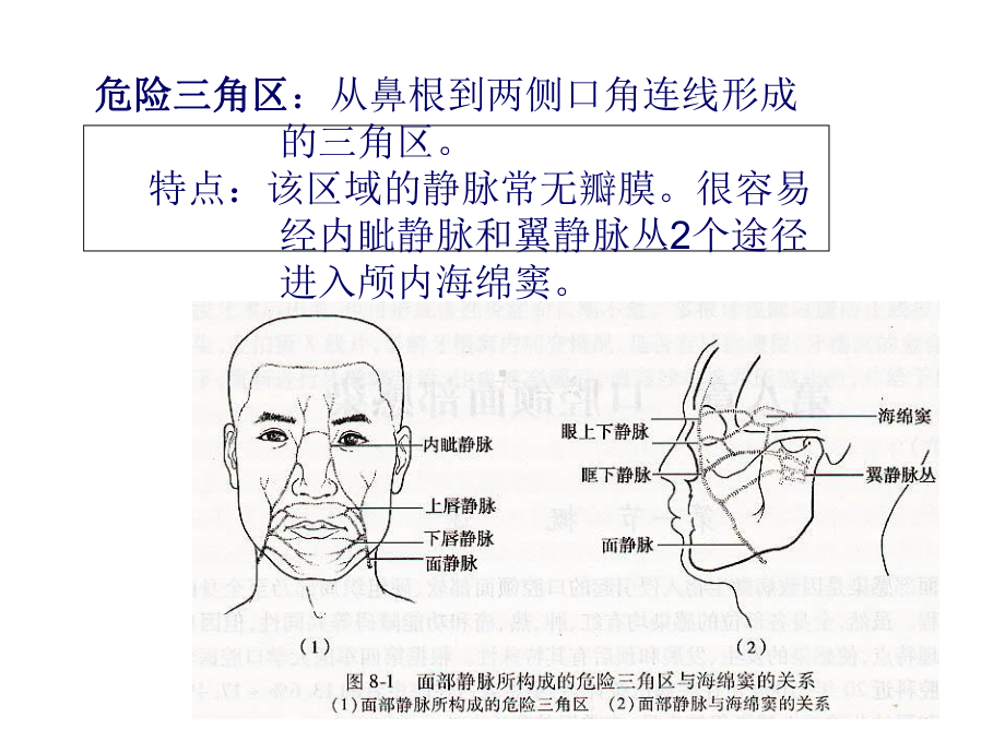 颌面部间隙感染课件.ppt_第3页