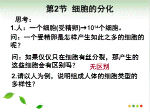 《细胞的分化》人教版完美PPT.ppt