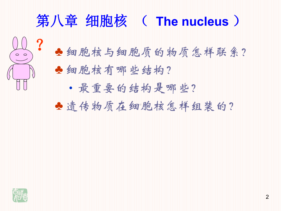 细胞生物学细胞核课件.ppt_第2页