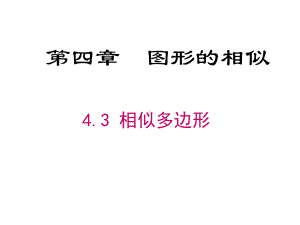 九年级数学上册课件《相似多边形》(同名731).ppt