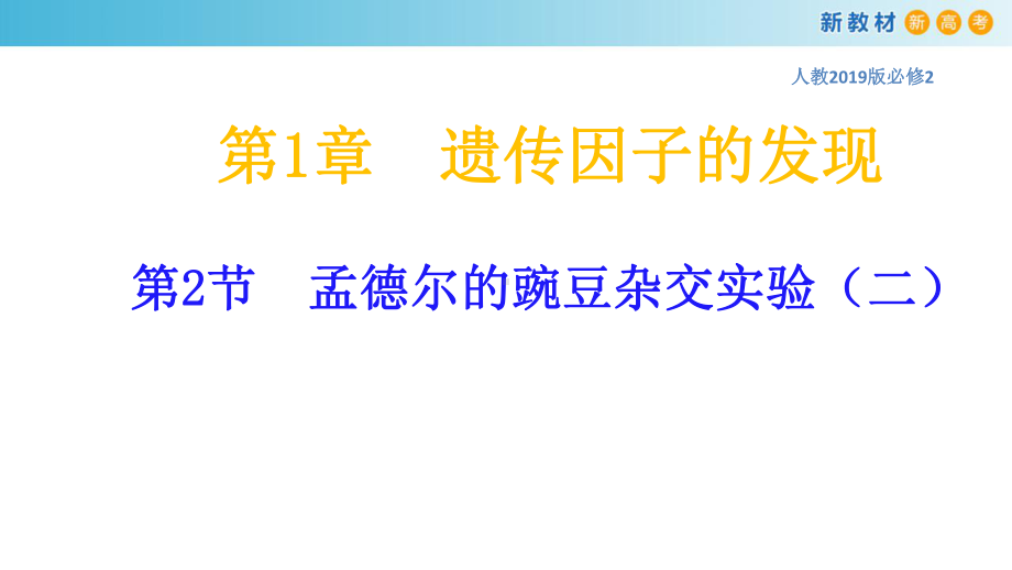 （新教材）122孟德尔的豌豆杂交实验(二)课件人教版高中生物必修2遗传与进化(共20张).pptx_第1页