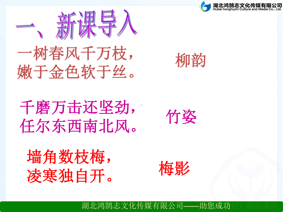 白杨礼赞省一等奖课件.ppt_第2页