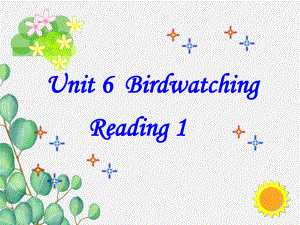 公开课获奖《Unit6BirdwatchingReading1》课件(公开课).ppt