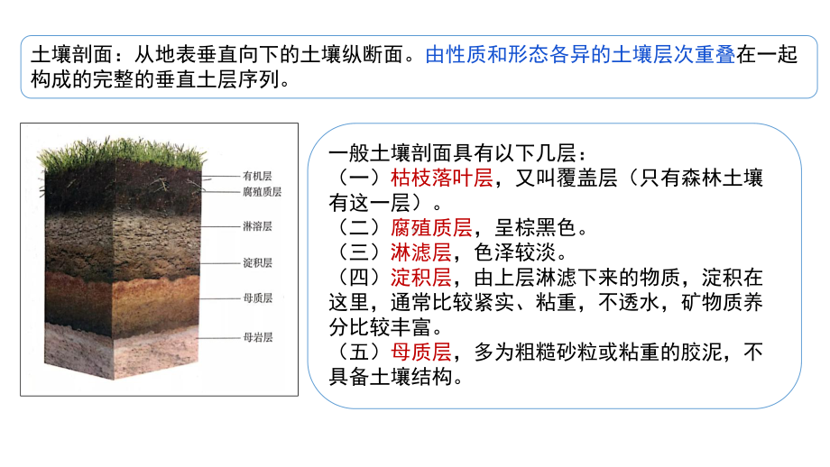 高三二轮微专题复习：土壤的形成过程及对环境的影响.pptx_第3页