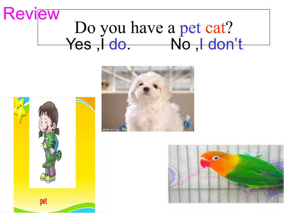 川教版英语课件4上lesson-5-my-pet-dog-课件(18张ppt).ppt--（课件中不含音视频）_第3页