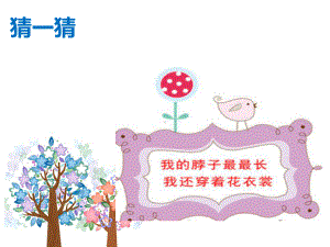 小学《可爱的动物》课件.ppt