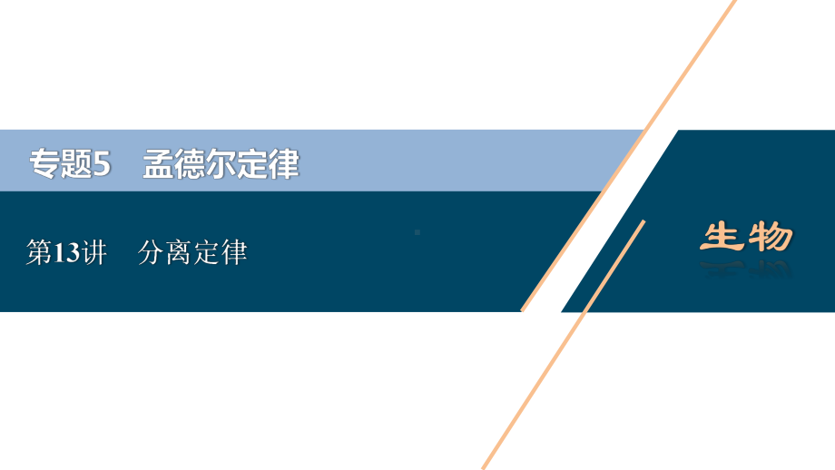 生物一轮复习专题5孟德尔定律第13讲分离定律课件新人教版.ppt_第1页