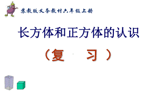 苏教版小学六年级长方体正方体的总复习课件.pptx