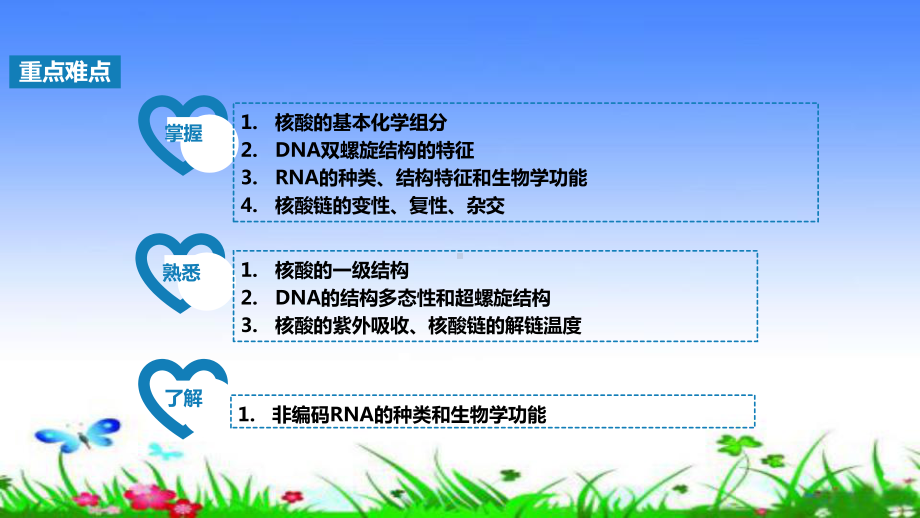 生化课件核酸.ppt_第2页