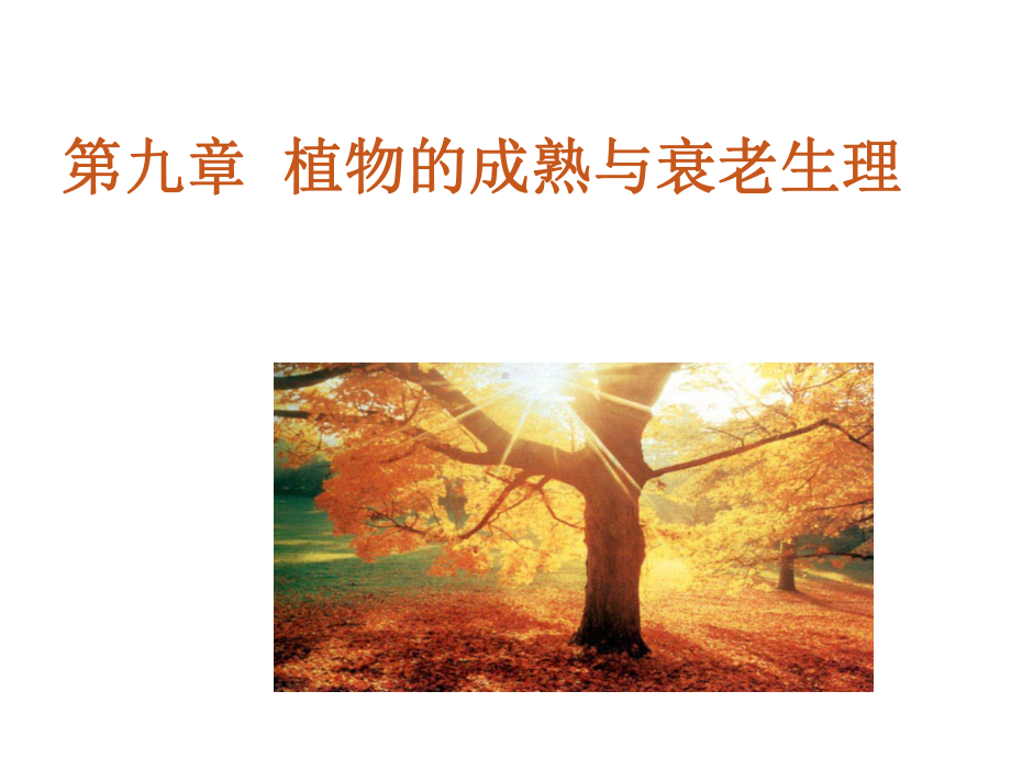 植物的成熟与衰老生理课件.ppt_第1页