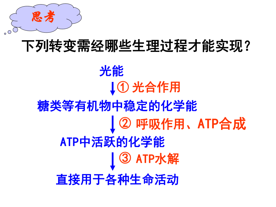 捕获光能的色素和结构课件1.ppt_第3页