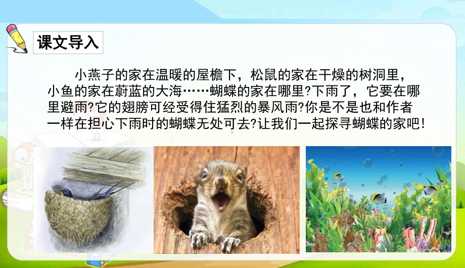 蝴蝶的家课件.ppt_第3页