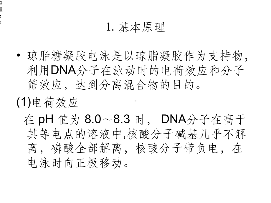 核酸电泳与检测课件.ppt_第2页