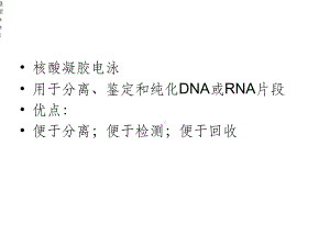 核酸电泳与检测课件.ppt