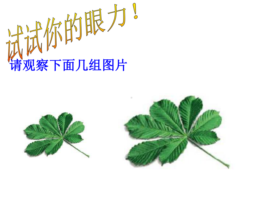 九年级数学图形的相似1.ppt_第2页