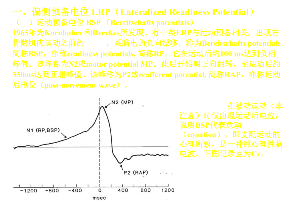 ERP基本成分-文档资料.ppt_第2页