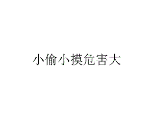 小偷小摸危害大.ppt