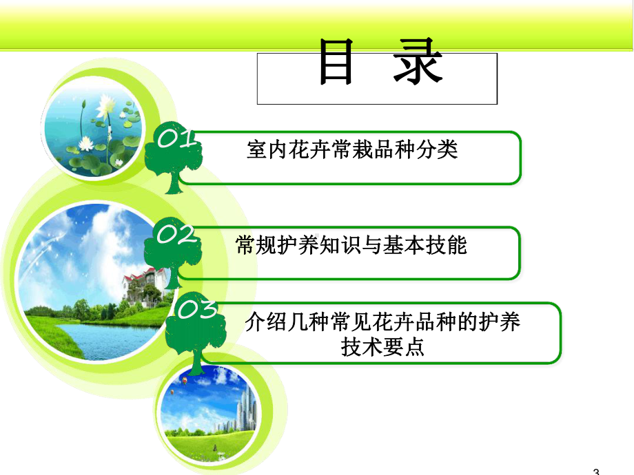 花卉养护知识课件.ppt_第3页