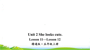 人教精通版五年级上英语Lesson11—Lesson12优质课件.ppt--（课件中不含音视频）