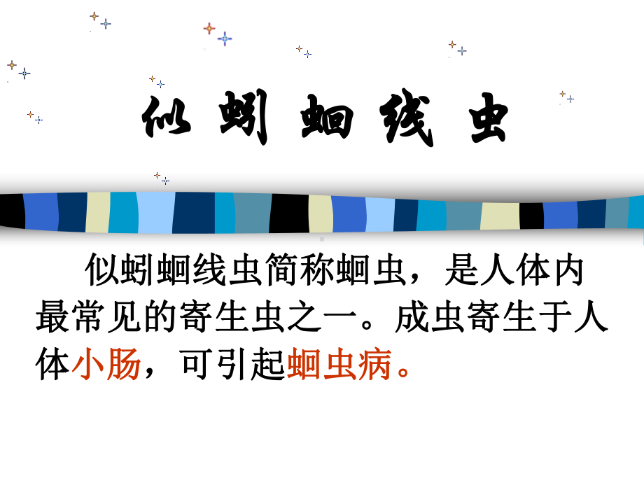 似蚓蛔线虫课件.ppt_第1页