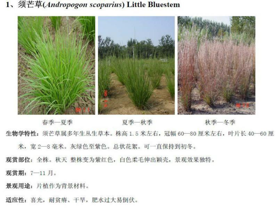 《植物特性介绍》课件.ppt_第3页