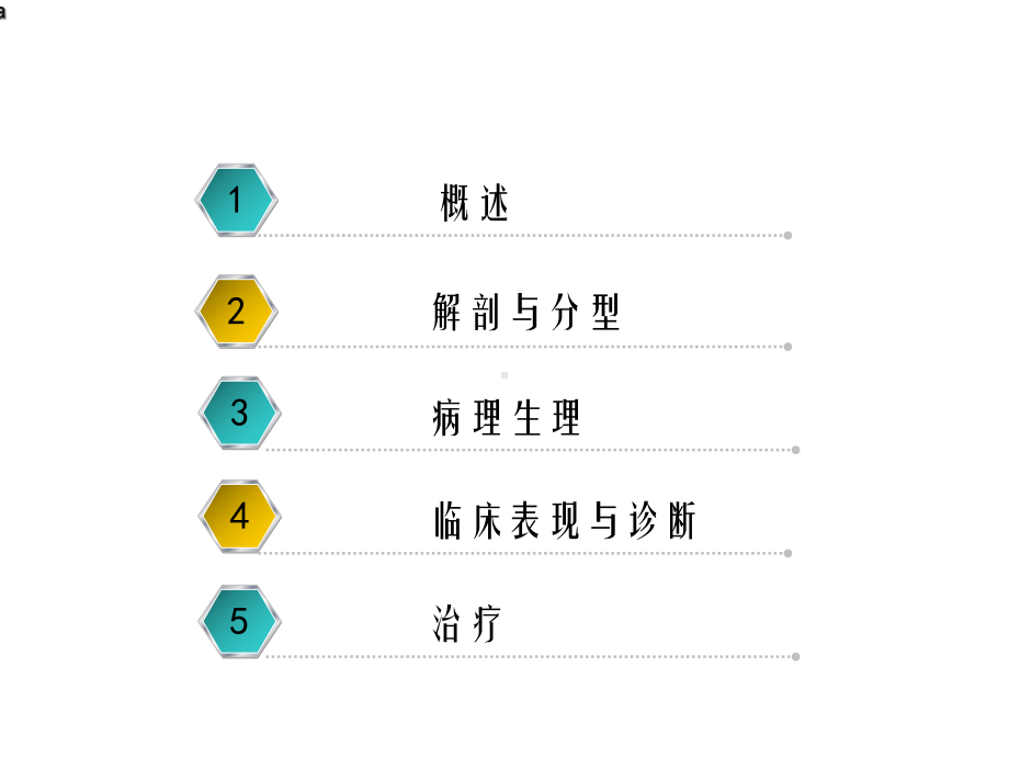 肌部室间隔缺损的介入治疗课件.ppt_第2页