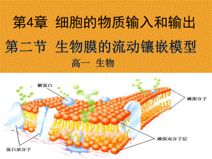 生物膜的流动镶嵌模型说课课件.ppt