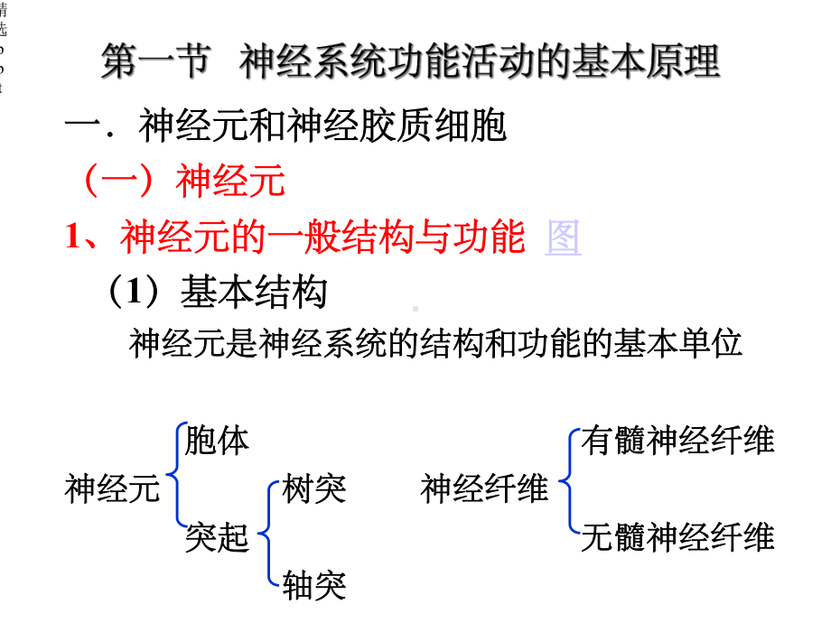 神经系统的功能课件.ppt_第3页