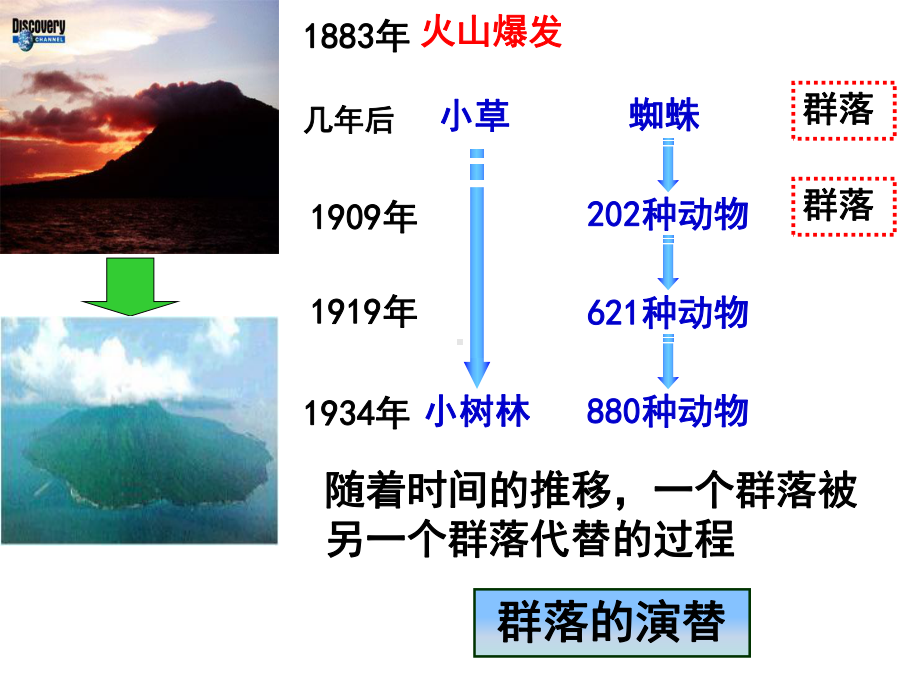 群落的演替课件.ppt_第2页