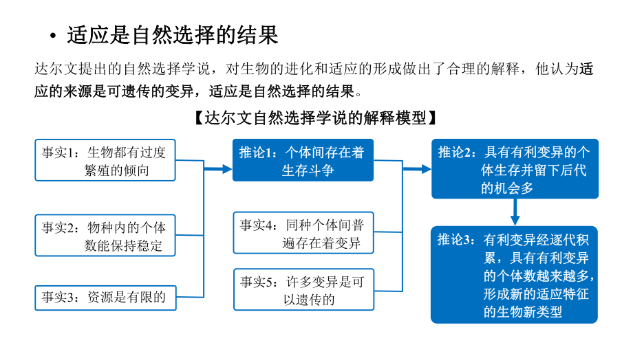 种群基因组成的变化课件.pptx_第3页