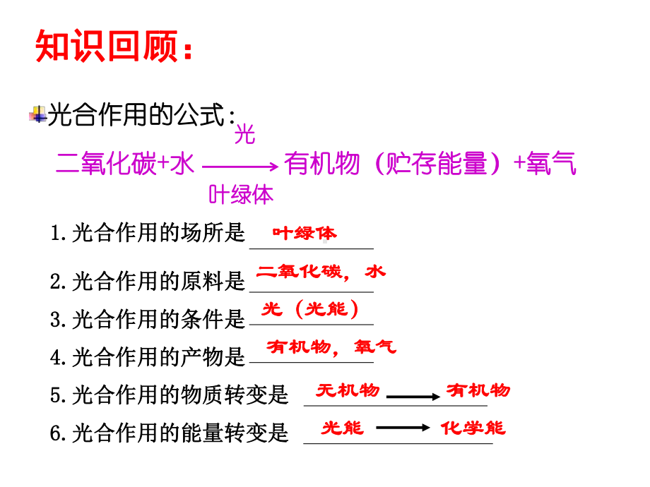 绿色植物的呼吸作用课件.ppt_第1页