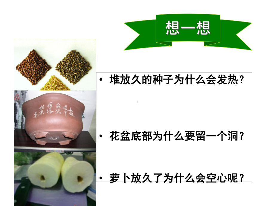 绿色植物的呼吸作用课件.ppt_第3页