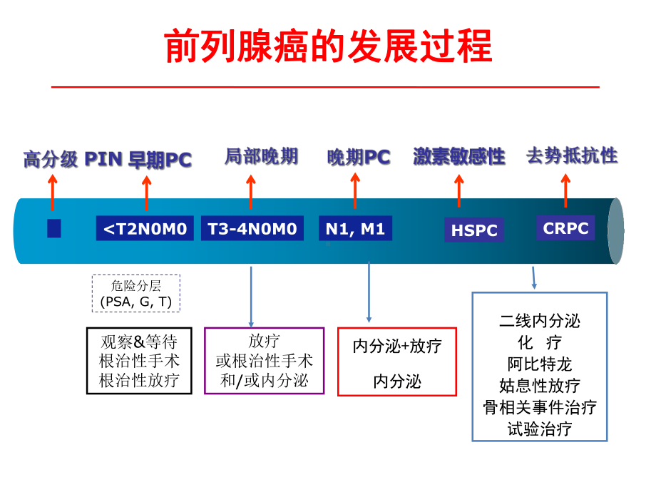 放疗后前列腺癌根治术.ppt_第2页