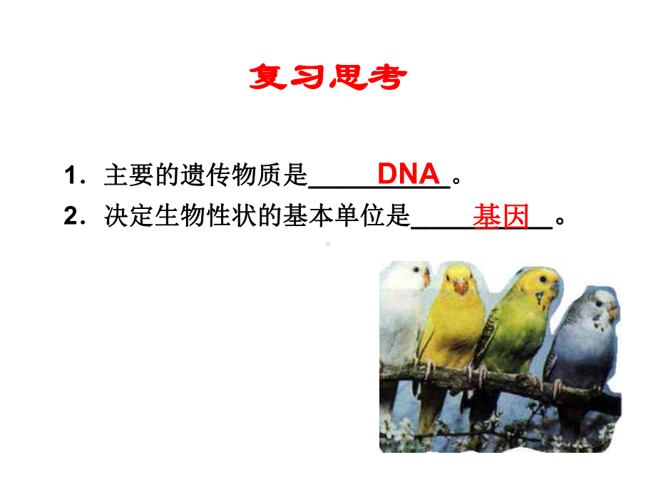 基因突变和基因重组课件.ppt_第2页