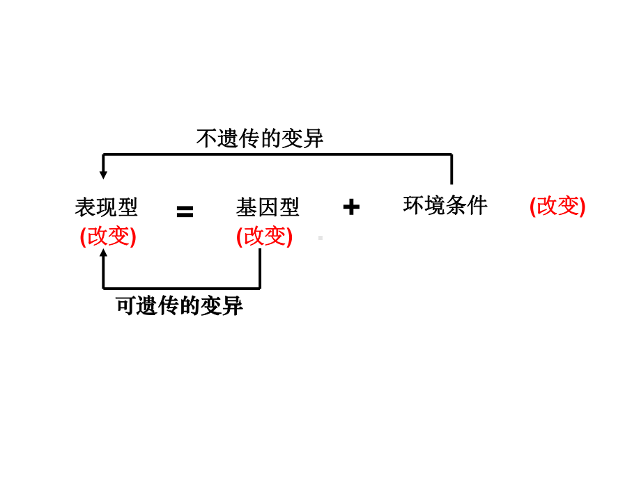 基因突变和基因重组课件.ppt_第3页