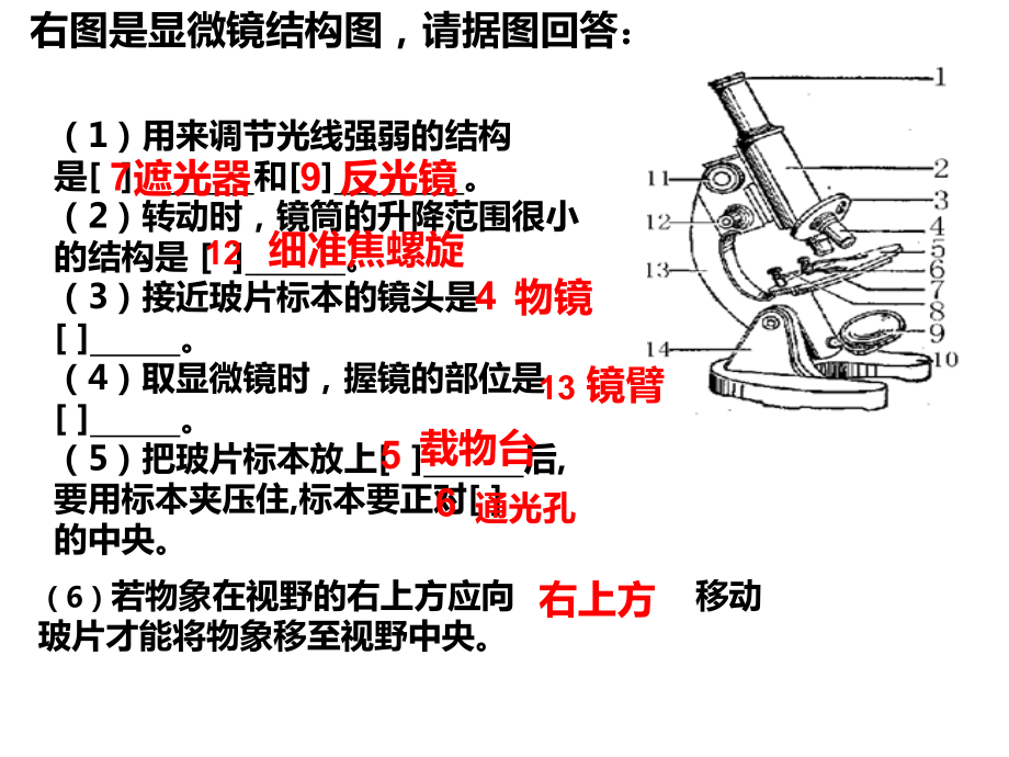 人教版七上生物识图题专项课件.ppt_第2页