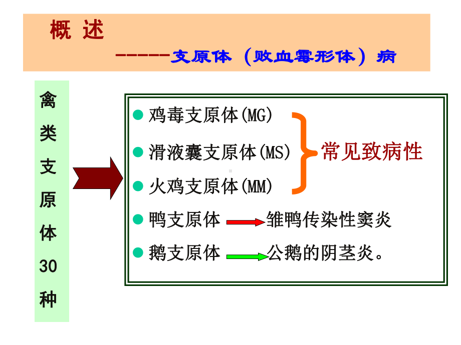 《禽病学》之第五章crd.ppt_第2页