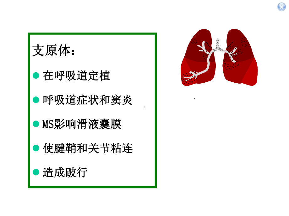 《禽病学》之第五章crd.ppt_第3页