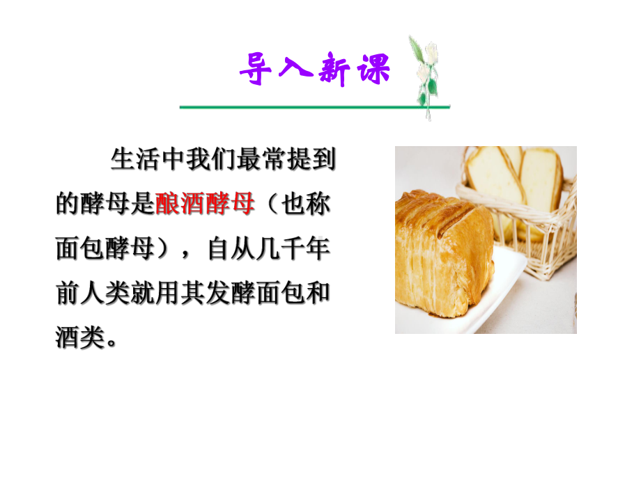 高中生物酵母细胞的固定化课件7.ppt_第1页