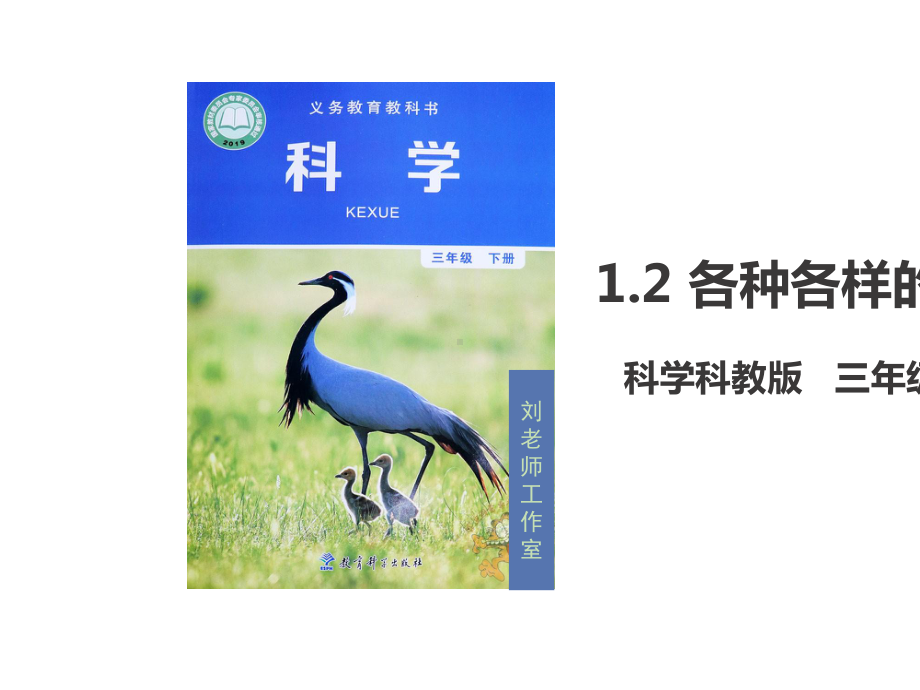 三年级下册科学各种各样的运动教科版.ppt_第2页