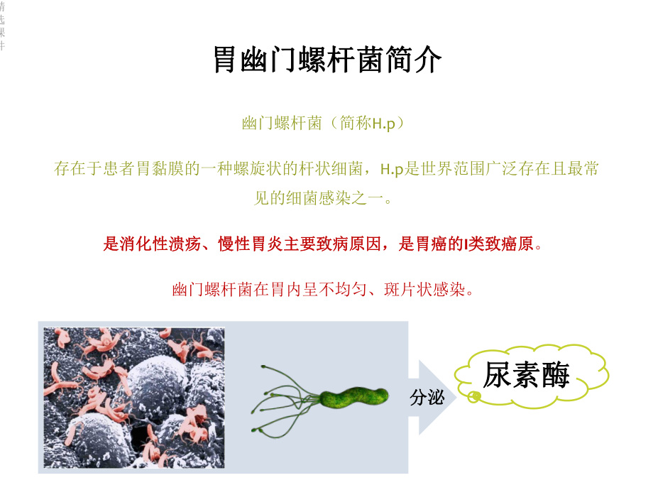 碳呼气试验检测幽门螺杆菌课件.ppt_第2页