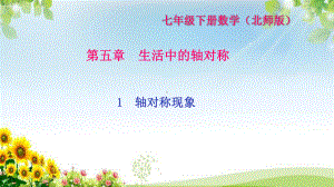 《轴对称现象》练习题课件2.ppt