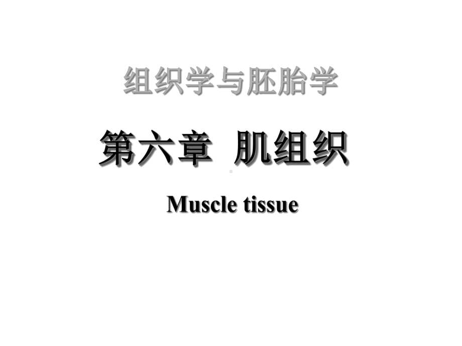 组织与胚胎学肌组织课件.ppt_第1页