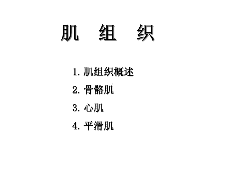 组织与胚胎学肌组织课件.ppt_第2页