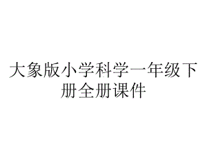 大象版小学科学一年级下册全册课件.ppt