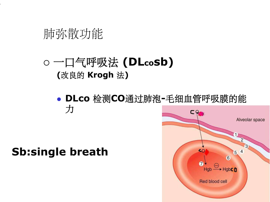 肺弥散功能检查课件.ppt_第2页