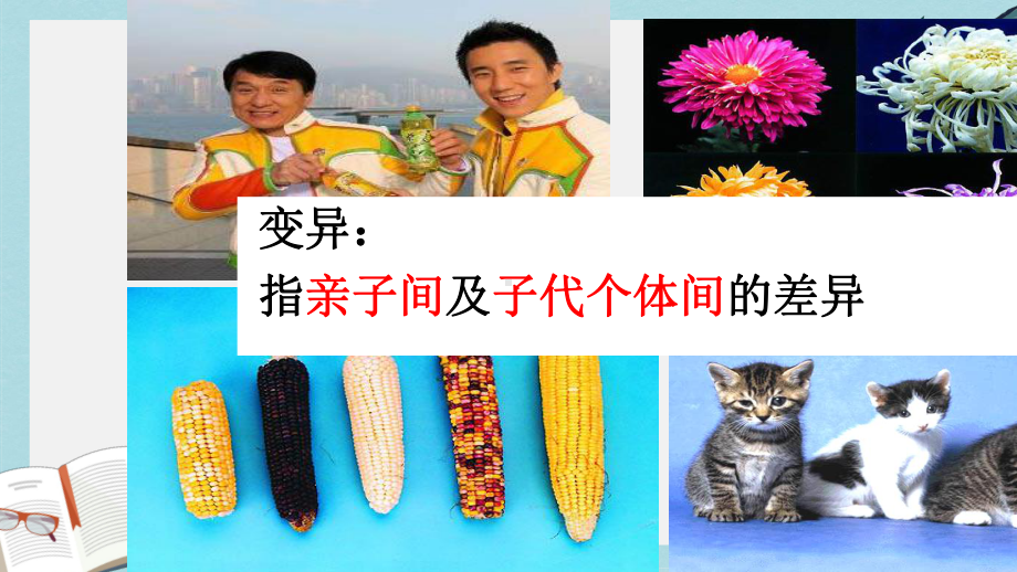 （八下生物）新人教版八年级生物下册第五节--生物的变异课件精选课件.ppt_第2页