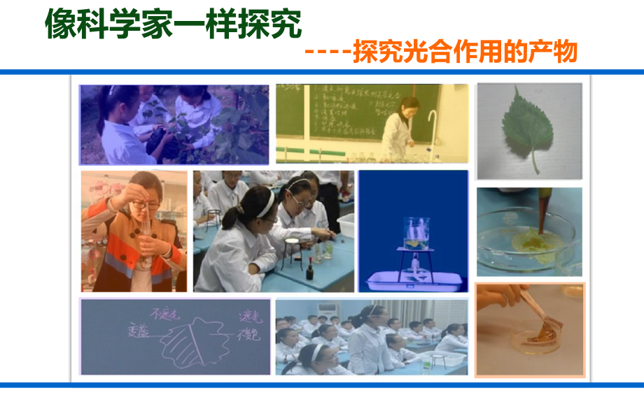 《光合作用》说课课件2.ppt_第2页