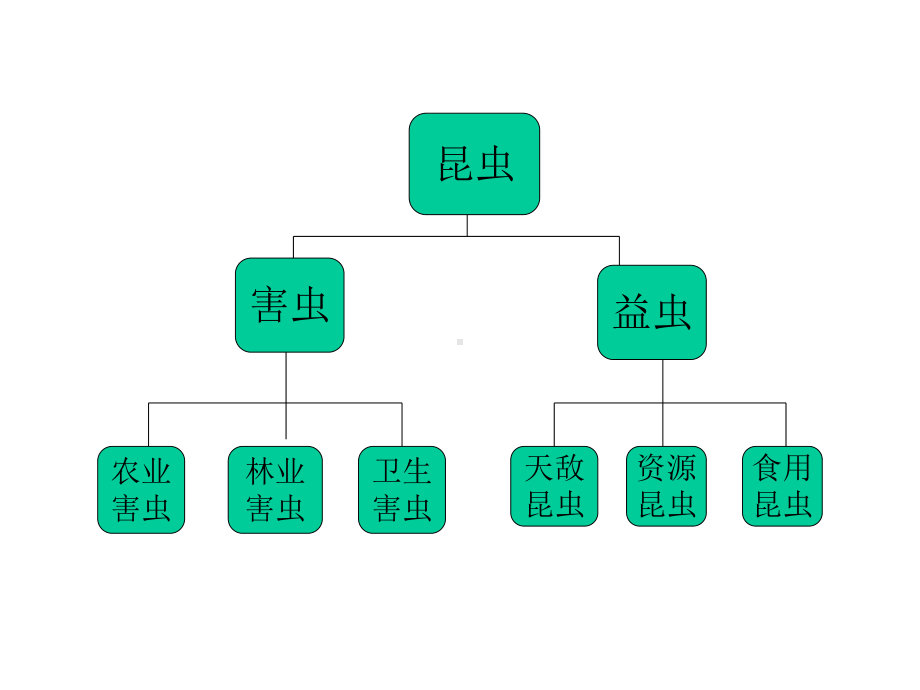 农业昆虫学基础全套课件.ppt_第3页