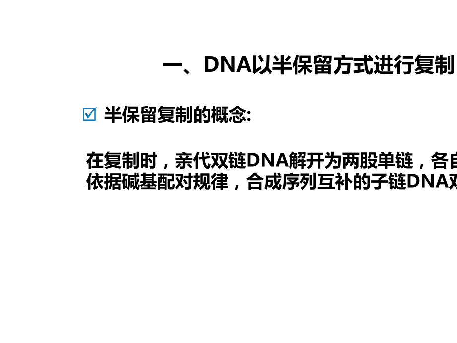 DNA复制的基本规律.pptx_第3页